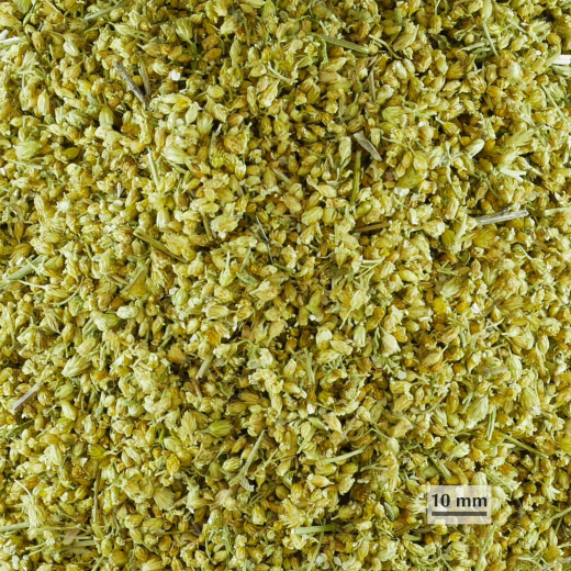 Sano Schafgarbenkraut, BIO 100 g