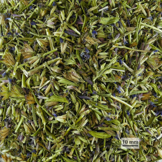Sano Ysopkraut, BIO 50 g