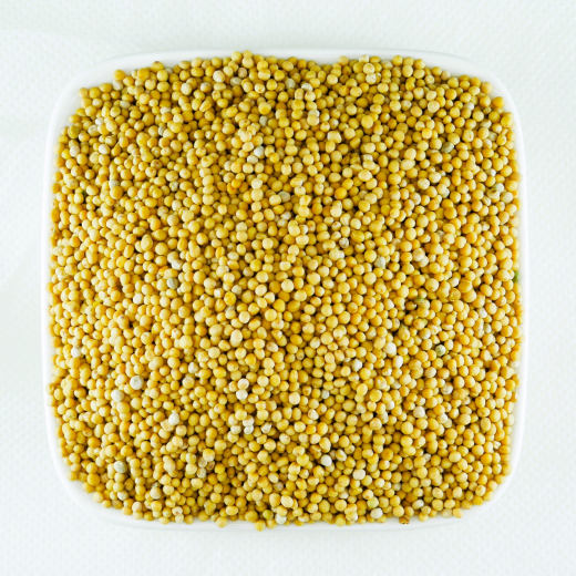 Sano Bio-Senfkörner 300 g